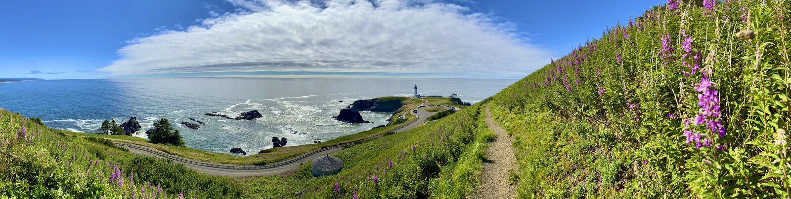 Oregon Coast & Whale Watching